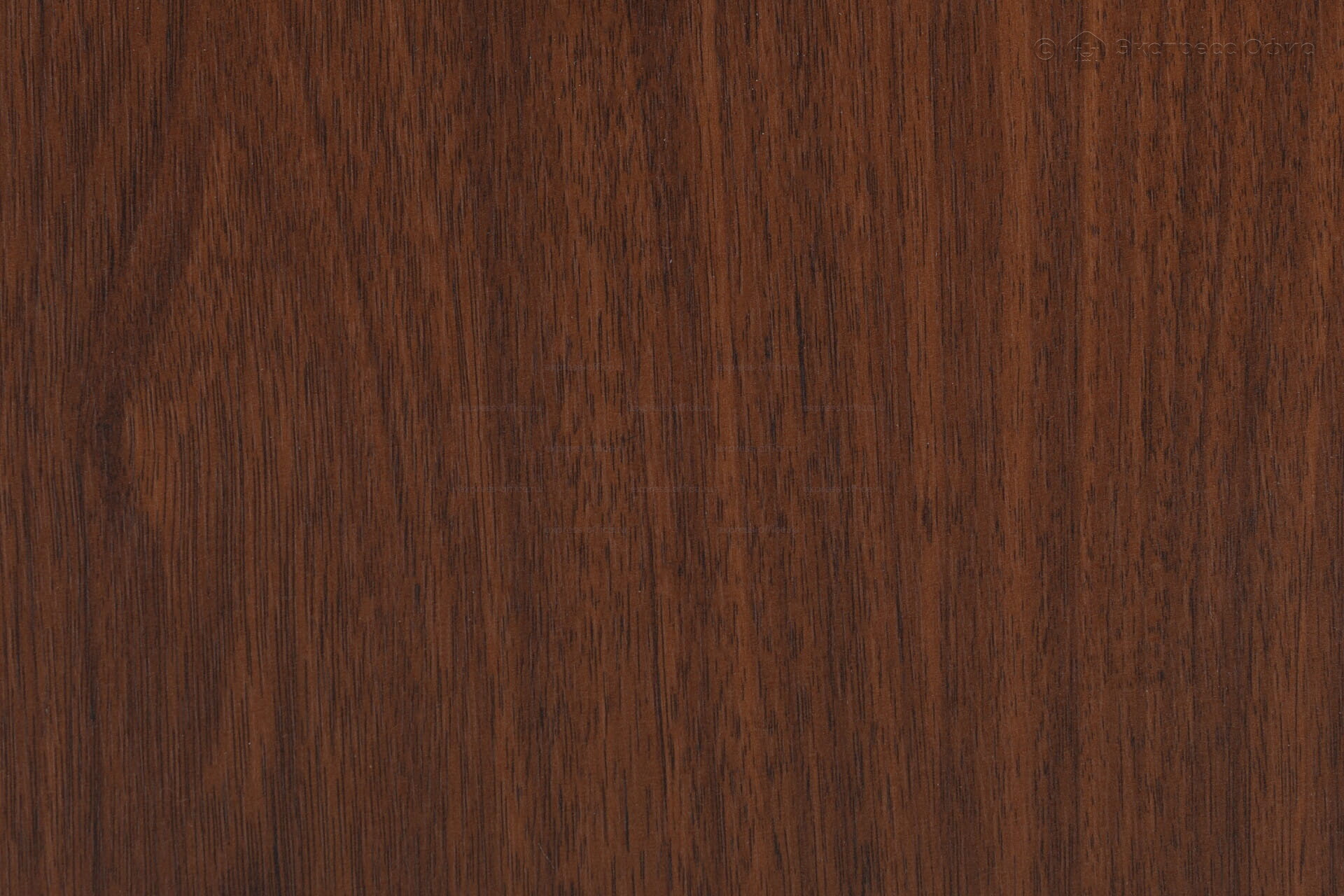  Вешалка В 12Н 1097 Средне-коричневый - фото товара 3 из 3