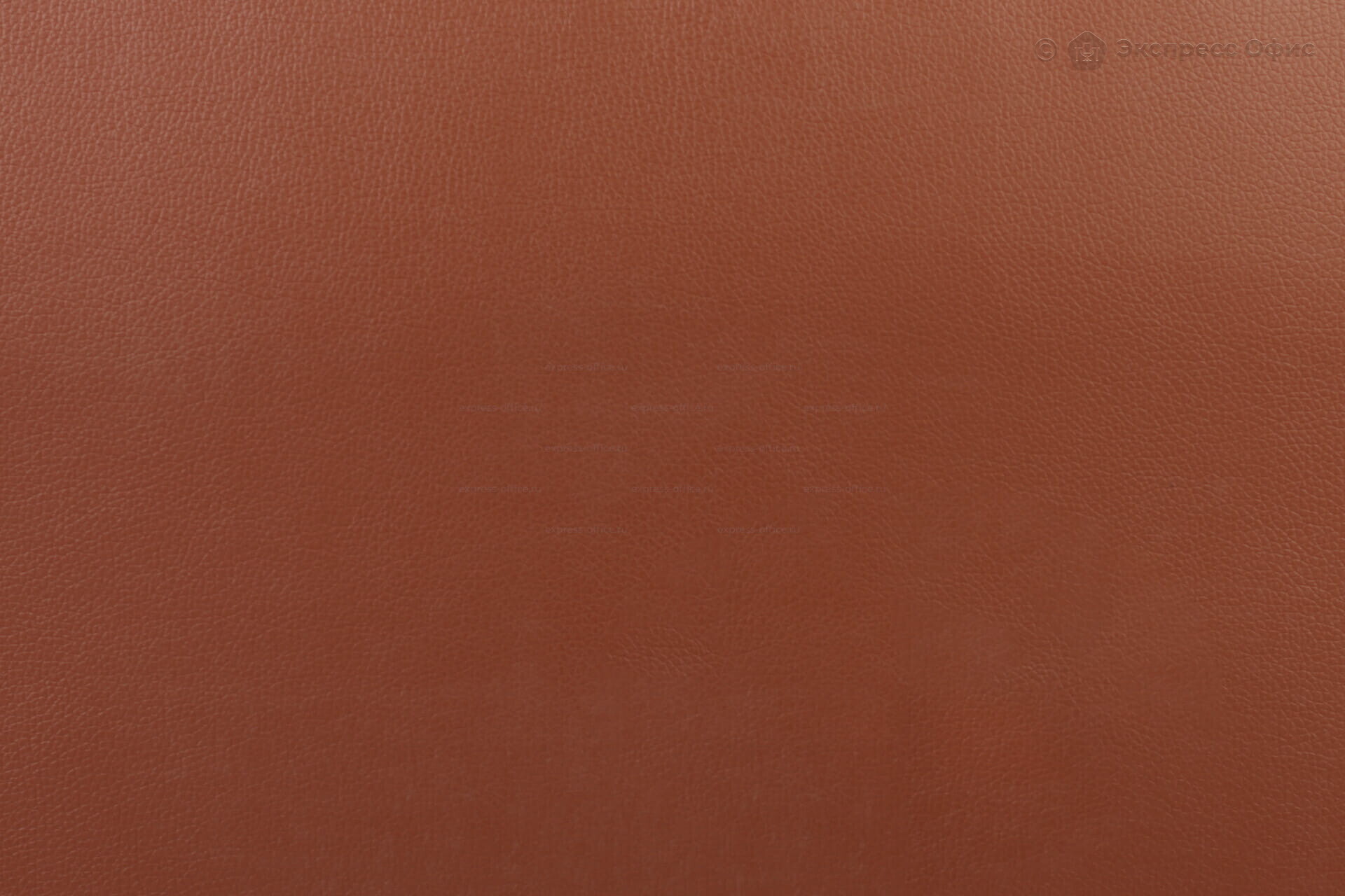  Конференц-кресло Chairman 850 Экокожа Terra 111 (коричневая) - фото товара 3 из 3